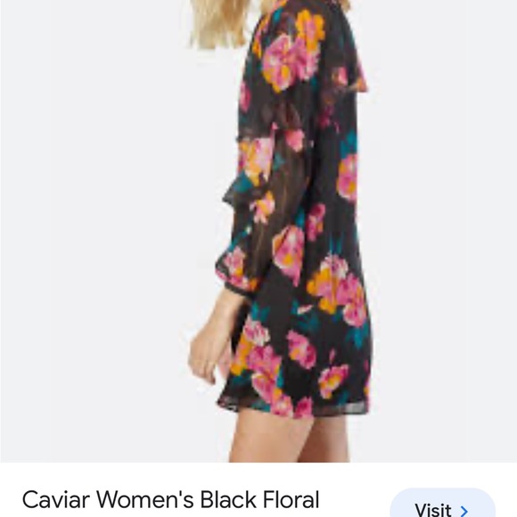 JOIE Silk Caviar Kriston Black Floral Mini Dress Sz Small NWT - Picture 3 of 9